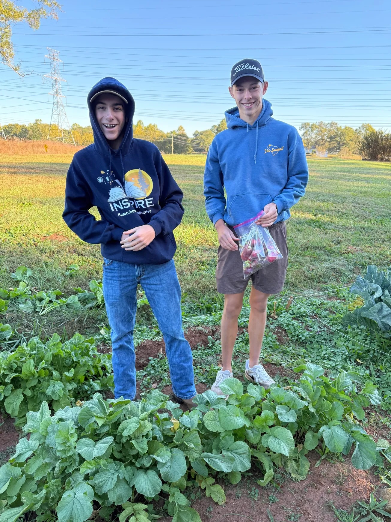 Nature study, picking kale in the rain
